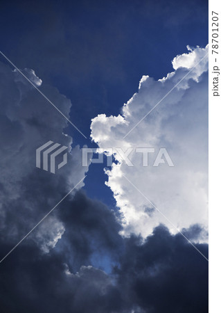 太陽をさえぎり白く輝く積雲とその陰に入った積雲の頂部1 78701207