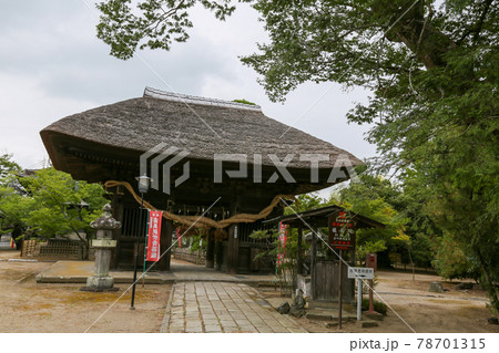 千葉県　成田市　夏　滑河山龍正院（滑河観音）仁王門　 78701315