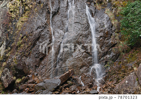 《兵庫県》笠形山千ヶ峰県立自然公園の風景 《兵庫県》笠形山千ヶ峰県立自然公園の風景 78701323