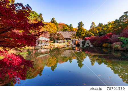紅葉の東山動植物園〈愛知県名古屋市〉 紅葉の東山動植物園〈愛知県名古屋市〉 78701539