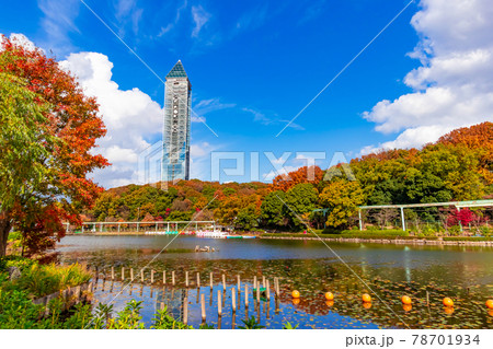 紅葉の東山動植物園〈愛知県名古屋市〉 78701934