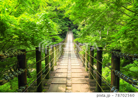 【茨城県】初夏の花貫渓谷 78702560