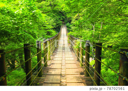 【茨城県】初夏の花貫渓谷 78702561