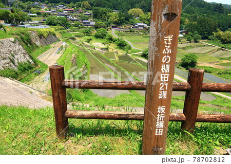 坂折棚田【岐阜県恵那市中野方町】 78702812