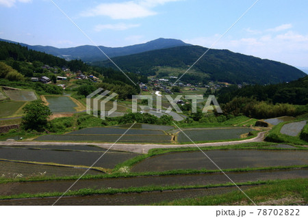 坂折棚田【岐阜県恵那市中野方町】 坂折棚田【岐阜県恵那市中野方町】 78702822