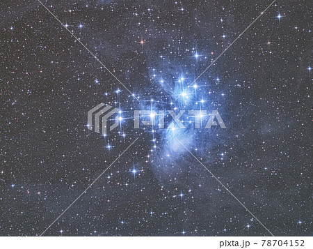 プレアデス星団（おうし座） 78704152