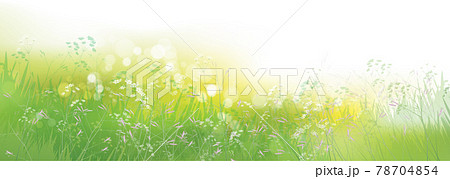 Vector green, summer, nature background. Vector green, summer, nature background. 78704854