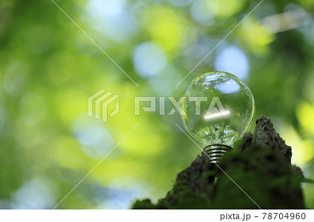 再生可能エネルギー 78704960