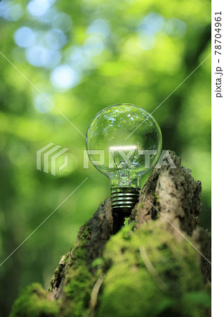 SDGs SDGs 78704961