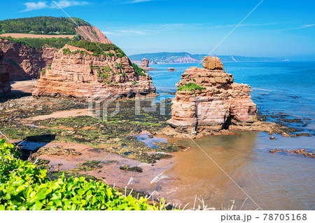 Ladram Bay in Dorset, United Kingdom, Jurassic Coast 78705168