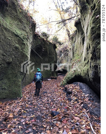 苔の回路 苔の回路 78705524