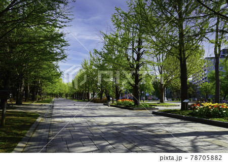 中島公園（北海道札幌市） 78705882