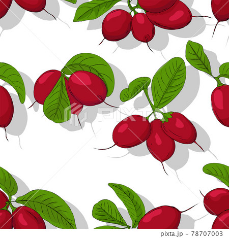 Miracle fruits repeating pattern 78707003