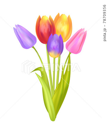 Colorful Bouquet with Three Tulips of Multi Color Colorful Bouquet with Three Tulips of Multi Color 78709356