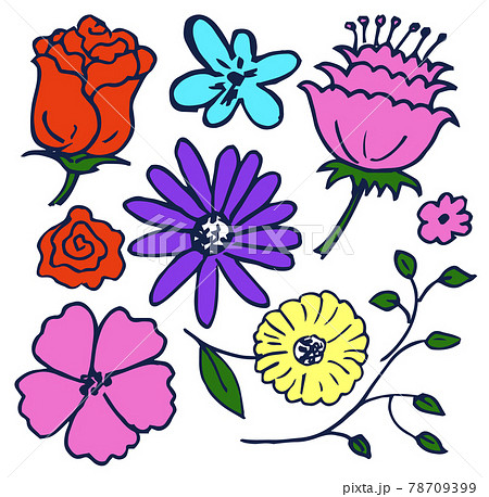 Massive of Lovely Flowers Vector Illustration Massive of Lovely Flowers Vector Illustration 78709399