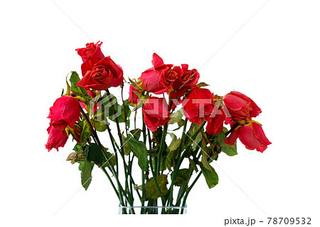 bouquet of dried pink roses, isolated on white bouquet of dried pink roses, isolated on white 78709532