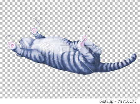 仰向けになって伸びをする猫のイラストのイラスト素材