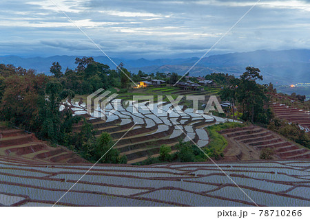 Paddy rice terraces with water reflection and rain storm, green agricultural fields in countryside, mountain hills valley, Pabongpieng, Chiang Mai, Thailand. Nature landscape. Crops harvest. 78710266