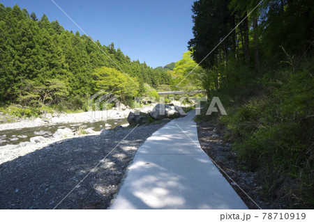 新緑の御岳渓谷　多摩川に架かる杣の小橋と神路橋の間の遊歩道から上流側を見た風景 78710919
