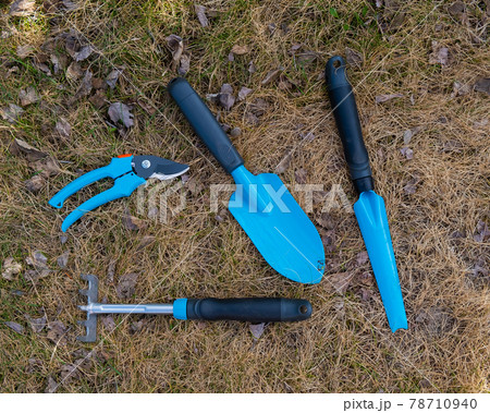 Top view of a pruner rake and a gardener's shovel with blue handles on the grass. A set of tools for working in the garden Top view of a pruner rake and a gardener's shovel with blue handles on the grass. A set of tools for working in the garden 78710940