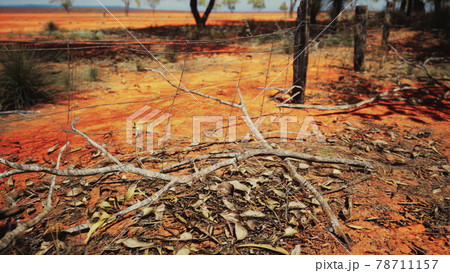 Pampas with barbed wire fence and dry bushes Pampas with barbed wire fence and dry bushes 78711157