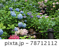 紫陽花とお地蔵さま 78712112
