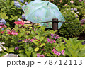 紫陽花と傘 78712113
