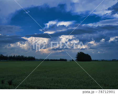 荒れた空模様 78712901