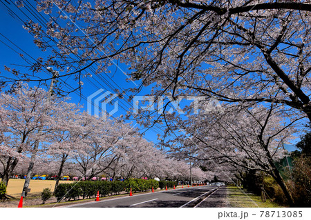 忠元公園 忠元公園 78713085