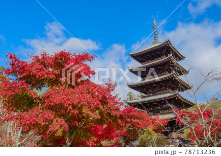 京都　仁和寺の紅葉 78713236