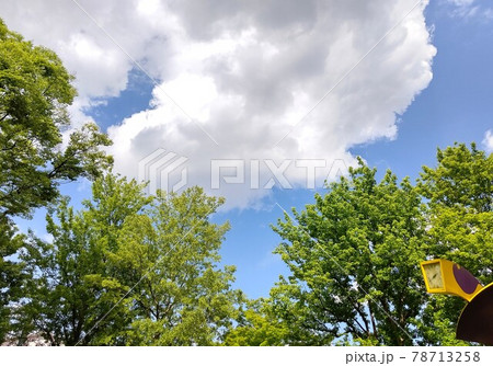 東京都杉並区立ひまわり公園  東京都杉並区永福1丁目7-6　　シンボル時計塔 78713258