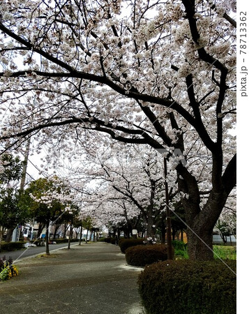 横浜市青葉区 あかね台一丁目 あかね台熊の谷公園(あかねだいくまのやとこうえん) 横浜市青葉区 あかね台一丁目 あかね台熊の谷公園(あかねだいくまのやとこうえん) 78713362