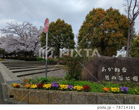 横浜市青葉区 あかね台一丁目   あかね台熊の谷公園（あかねだいくまのやとこうえん）  78714161