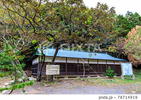 和多都美神社 フナグロー船【長崎県対馬市 】 和多都美神社 フナグロー船【長崎県対馬市 】 78714919