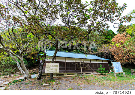 和多都美神社 フナグロー船 【長崎県対馬市 】 和多都美神社 フナグロー船 【長崎県対馬市 】 78714923
