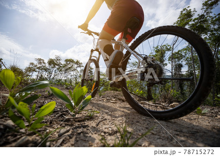 Woman cyclist cycling on mountain top forest trail 78715272