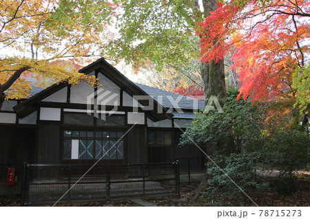 浴恩館の紅葉 浴恩館の紅葉 78715273