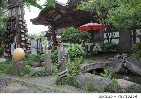 素盞雄神社 78716254