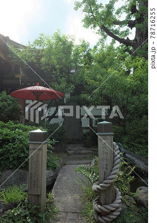 素盞雄神社 素盞雄神社 78716255