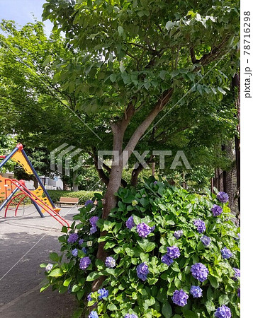 横浜市鶴見区矢向 矢向五丁目公園(やこう)JR南武線「矢向駅」 都市公園、街区公園 近隣公園 横浜市鶴見区矢向 矢向五丁目公園(やこう)JR南武線「矢向駅」 都市公園、街区公園 近隣公園 78716298