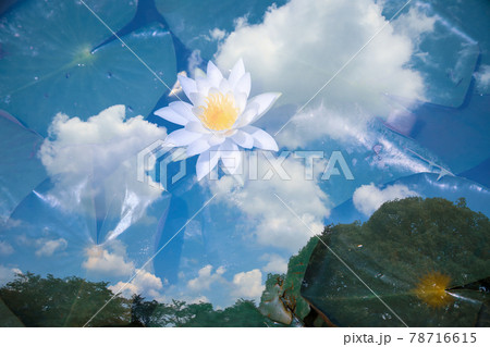 初夏の風景 78716615