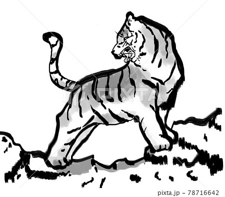 Ink Painting Style Tiger Stock Illustration