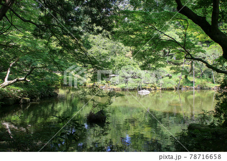 千葉県　成田市　成田山新勝寺　成田山公園　池の風景 78716658