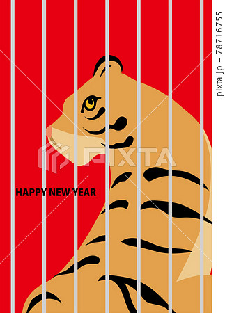 寅年年賀状のテンプレート 寅 トラ 虎 2022年 お正月 寅年年賀状のテンプレート 寅 トラ 虎 2022年 お正月 78716755