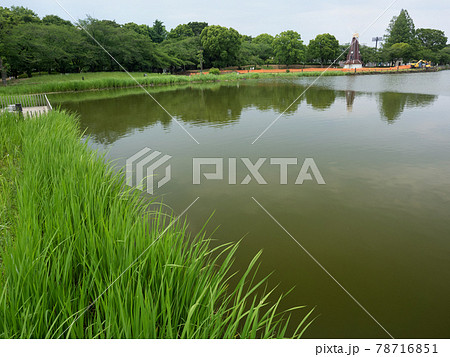 浮間公園　東京都 78716851
