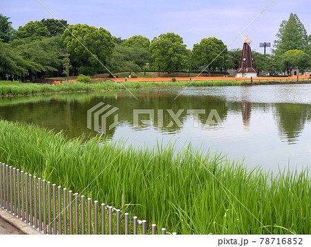 浮間公園　東京都 78716852