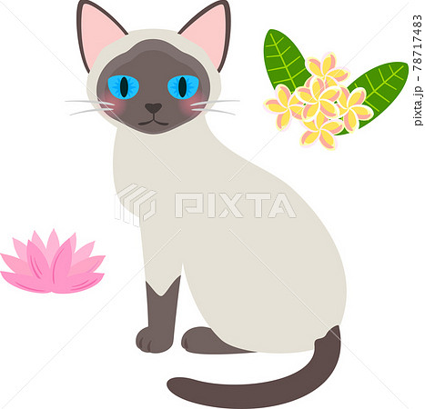 座ったシャム猫と花のデコレーションのイラスト素材 座ったシャム猫と花のデコレーションのイラスト素材