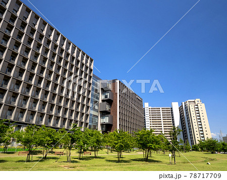 葛飾にいじゅくみらい公園と東京理科大学 東京都 葛飾にいじゅくみらい公園と東京理科大学 東京都 78717709