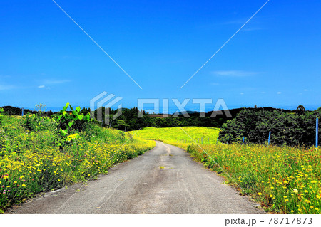 月山高原牧場 78717873