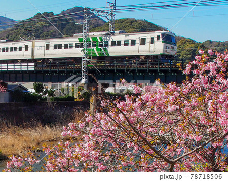 河津駅に到着した185系踊り子 78718506